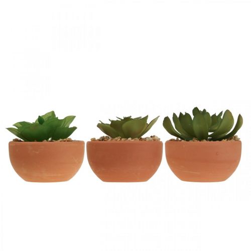 Product Artificial plants in pots artificial succulents H9cm 3pcs