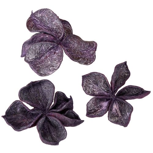 Product Landlotus Mix Lotus pods Sterculia Blackberry Old Pink 50pcs