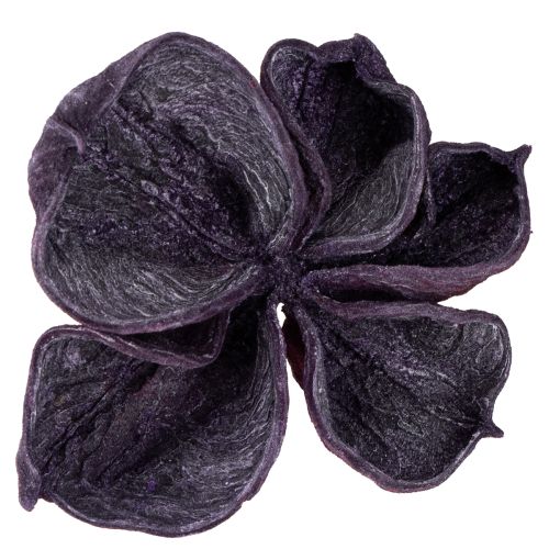 Product Landlotus Mix Lotus pods Sterculia Blackberry Old Pink 50pcs