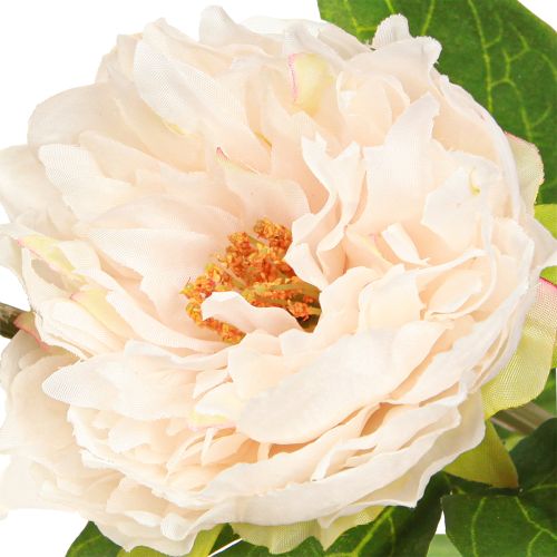 Product Long artificial peonies artificial flowers cream 70cm 3 pcs