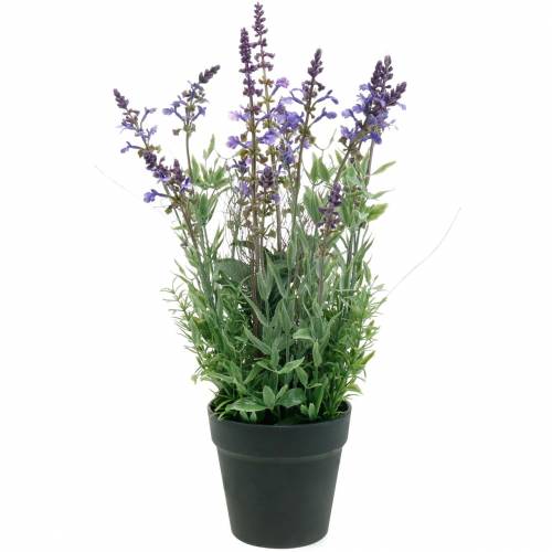 Flower decoration lavender in a pot of artificial plants