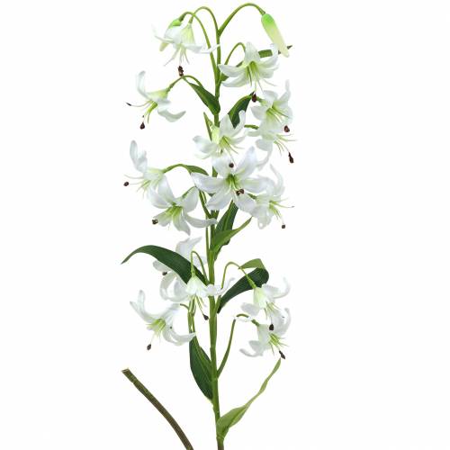 Lily white 82cm