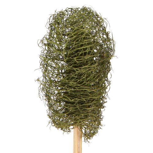 Product Luffa small on a stick sponge cucumber dark green 5-7cm 25 pcs