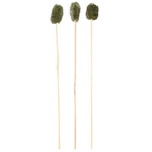 Product Luffa small on a stick sponge cucumber dark green 5-7cm 25 pcs