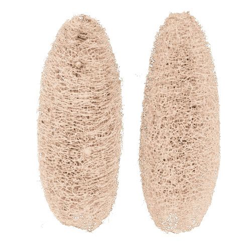 Product Luffa large bleached 20 pcs