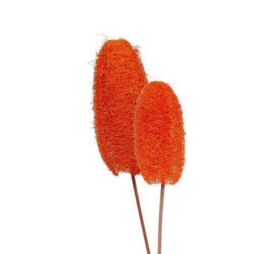 Luffa small on a stick orange 25 pcs