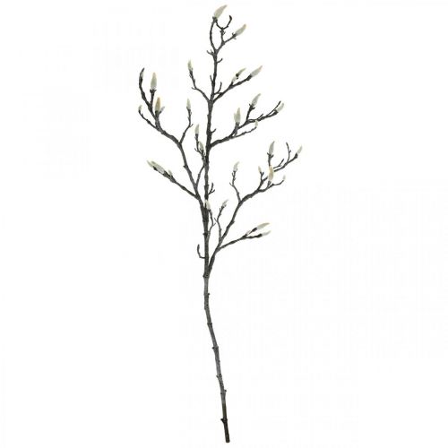 Floristik24 Spring Magnolia Branch Bud Artificial Branch Brown White L100cm