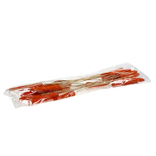 Product Corn on the cob on a stick orange 20 pcs