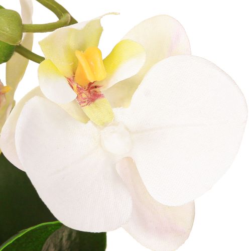 Product Mini orchids artificial white orchids in a pot 15cm