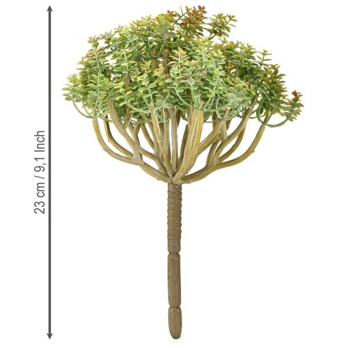 Product Mini succulent artificial green artificial plant with stem H23cm