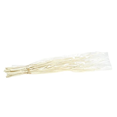 Product Mitsumata Branches White 34-60cm 12 pcs