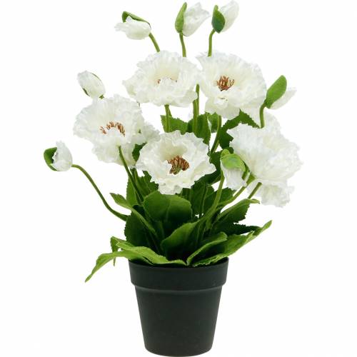 Product Poppy in a pot white silk flowers floral decoration