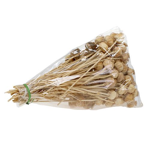 Floristik24 Poppy Heads Natural 100 Pcs