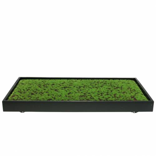 Product Mural moss in a green frame 60x30cm Wall decoration made of moss