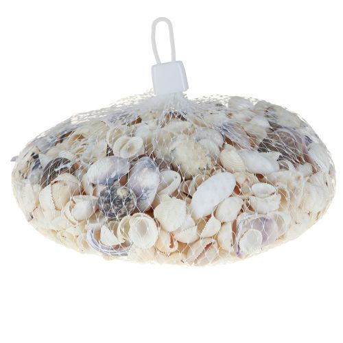 Product Shell decoration mini cockles snail shells 1–3 cm 340 g