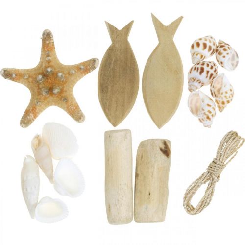 Floristik24 DIY-Box Maritime Natural shells wooden decoration set assorted