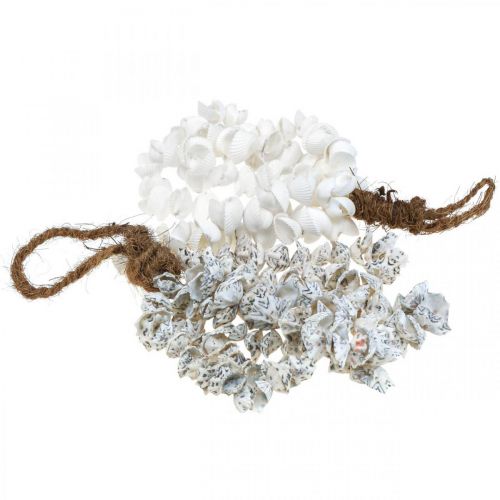 Floristik24 Shells shell necklace shell pendant deco maritime 2pcs