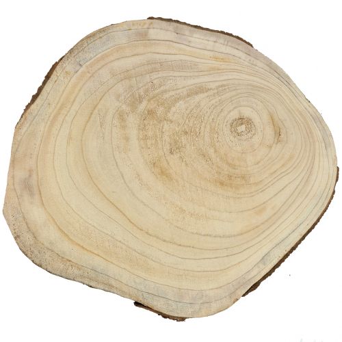 Floristik24 Tree disc blue bell tree nature Ø35–45cm