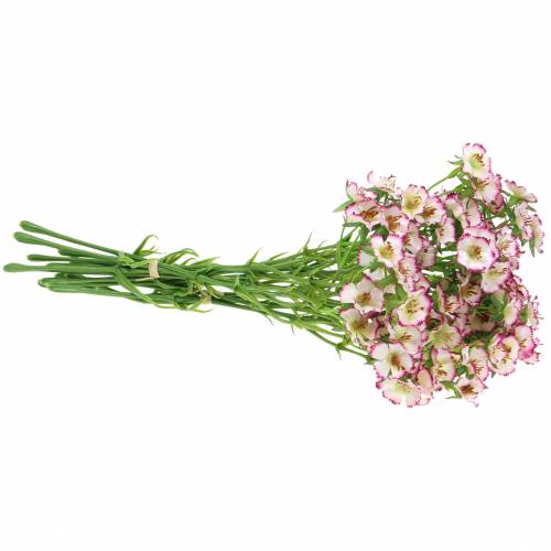 Floristik24 Bunch of Carnations White, Purple 34cm
