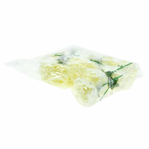 Product Carnation blossom white Ø9cm 12pcs