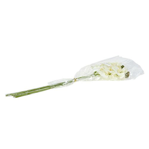 Floristik24 Orchid white artificial L73cm 4pcs
