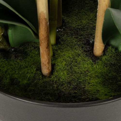 Product Artificial orchid in a pot for a harmonious ambience, white, 60cm