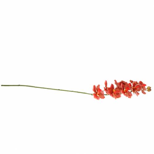 Floristik24 Artificial orchid Phaelaenopsis Red, Orange H81cm