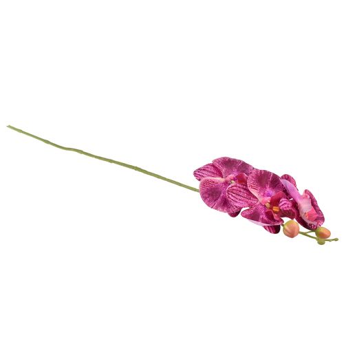 Product Orchid flamed Artificial Phalaenopsis Violet 72cm