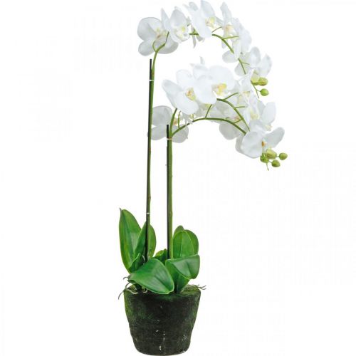 Product Artificial orchids for the pot white 80cm