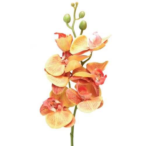 Product Orchid artificial Phalaenopsis flamed red yellow 78cm