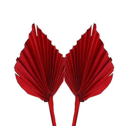 Product Palmspear mini red 100 pcs