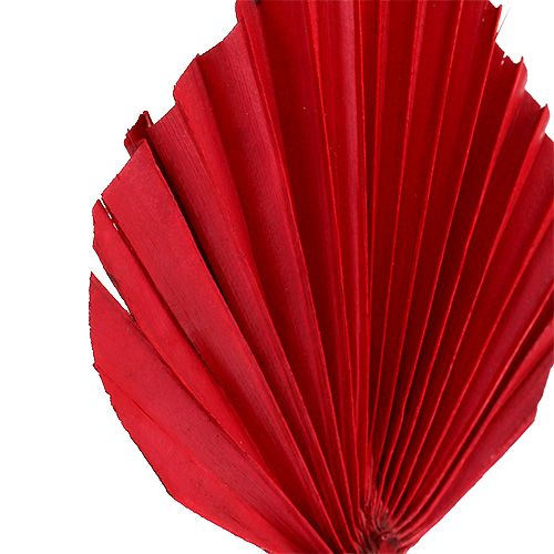 Product Palmspear mini red 100 pcs