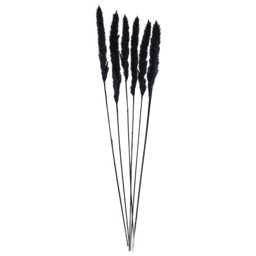 Product Black Pampas Grass Decoration Dried 72cm 6 Pieces