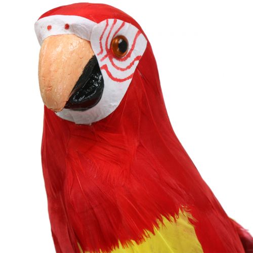 Floristik24 Deco parrot red 44cm