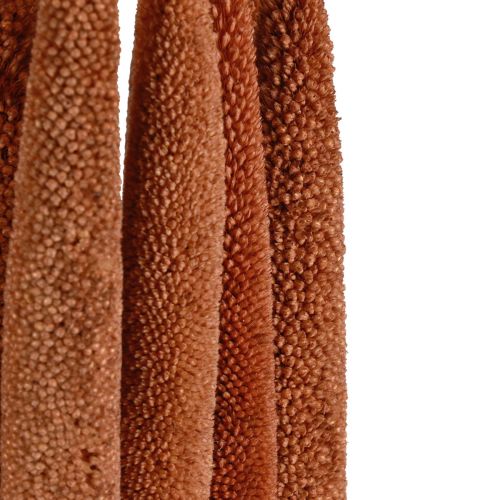 Product Pearl millet decorative reed cob Babala millet brown 70cm 10 pcs