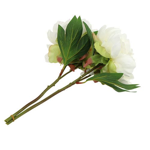 Floristik24 Peonies with bud white L30cm 2pcs