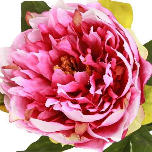 Product Peonies Long-stemmed artificial flowers pink 70cm 3pcs