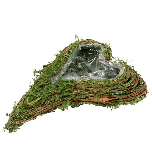 Floristik24 Plant heart moss and vine 30cm x 20cm
