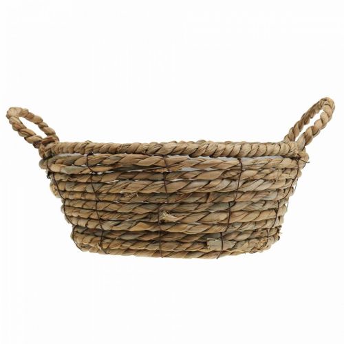 Floristik24 Plant basket seagrass basket with handles table decoration Ø30cm H11cm