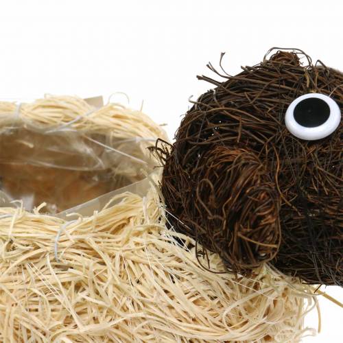 Product Plant Pot Sheep Vine Brown Bleached 35×14cm H26cm