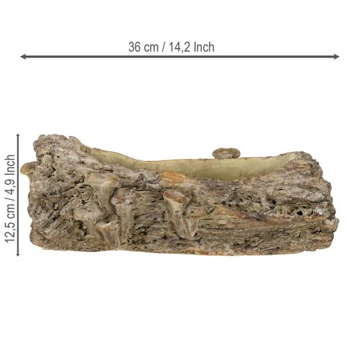 Product Planter cast stone tree trunk with mushrooms 36×18×12.5cm