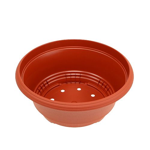 Product Plastic plant bowl Ø20cm terracotta 1 pc