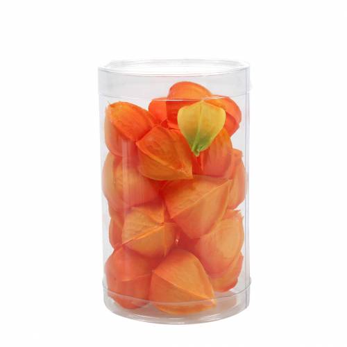 Product Physalis Orange Assorted 22 pcs Decorative Flower Heads Artificial