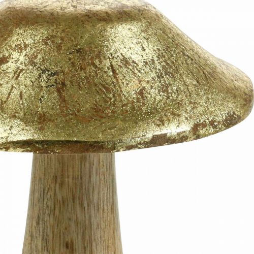 Floristik24 Mushroom mango wood gold, natural deco mushrooms large Ø12cm H15cm 2pcs