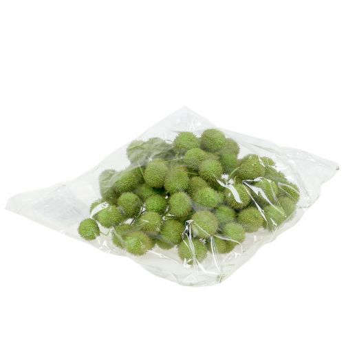 Floristik24 Sycamore fruits green 200g