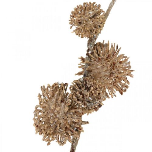 Product Decorative Branch Plane Tree with Fruits Autumn Decoration Artificial Plane Tree Brown L82cm Ø2-4cm