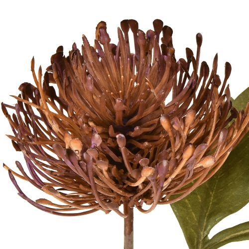 Product Protea artificial pincushion Leucospermum purple 30cm 6 pcs