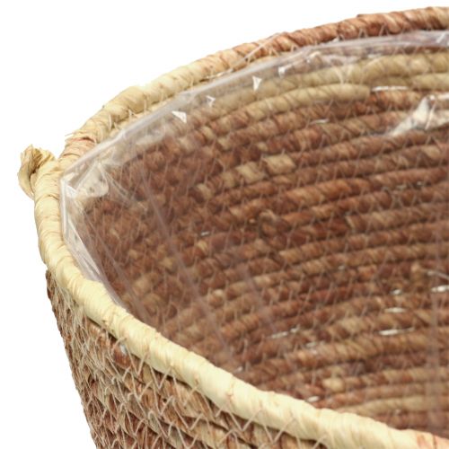 Product Plant basket rattan nature/brown Ø26/22/16cm 3pcs