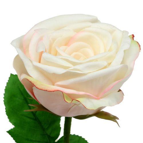 Floristik24 Artificial rose cream 69cm