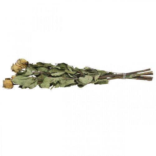 Floristik24 Dried flower rose, Valentine's Day, dried floristry, rustic decorative roses yellow-violet L45-50cm 5 pcs